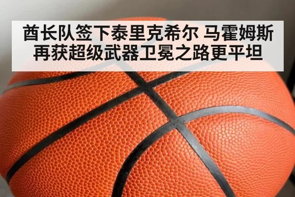 酋长队签下泰里克希尔 马霍姆斯再获超级武器卫冕之路更平坦