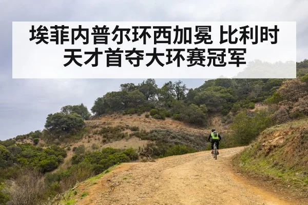 埃菲内普尔环西加冕 比利时天才首夺大环赛冠军