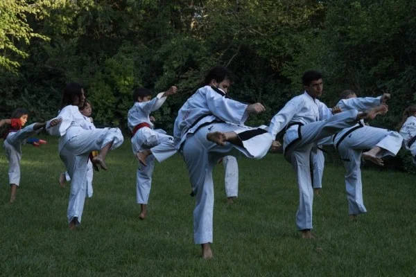 taekwondo kick action